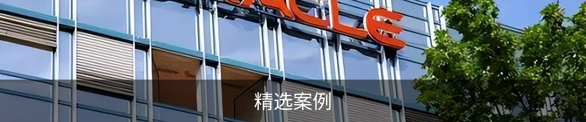 精选案例